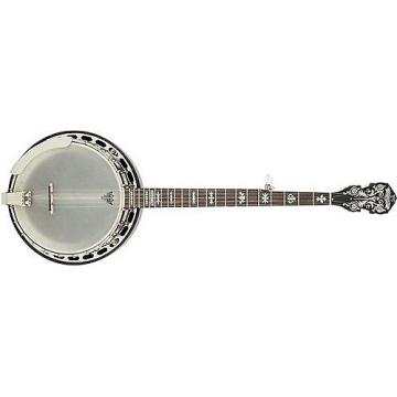 Custom Fender Deluxe Concert Tone 58 Banjo