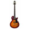 Prestige Guitars Heritage Elite Sunburst AAA FM Solid-Body Electric Guitar