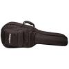 ChromaCast Pro Series Double Electric Guitar Padded Gig Bag