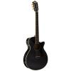 Ibanez AEG10NII Nylon String Cutaway Acoustic-Electric Guitar Black