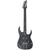 Ibanez Iron label RG Series RGIT20FE Electric Guitar Transparent Gray Flat