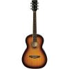 Ibanez PN15 Parlor Size Acoustic Guitar Brown Sunburst