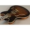 Washburn Hb36k Spruce Flame Maple Vintage Hollowbody Electric Guitar