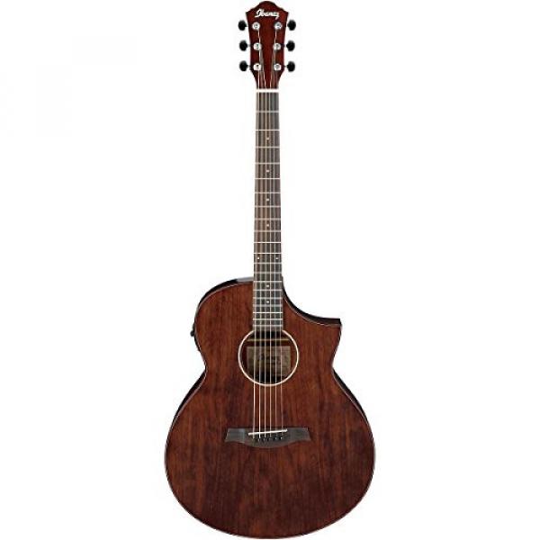 Ibanez Exotic Wood AEW40CD-NT Acoustic-Electric Guitar Natural 190839014764 #2 image