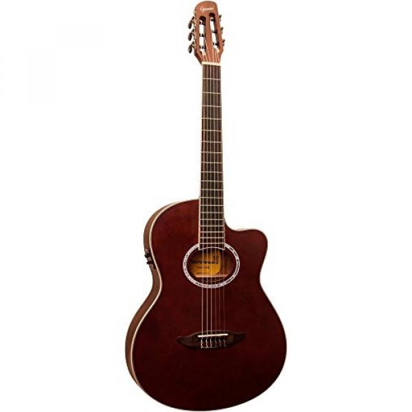 Giannini GNF-8R CEQ Cutaway Nylon String Acoustic-Electric Guitar Light Satin Chocolate #2 image